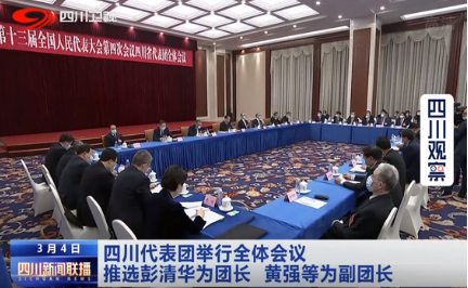 四川代表团举行全体会议   推选彭清华为团长  黄强等为副团长