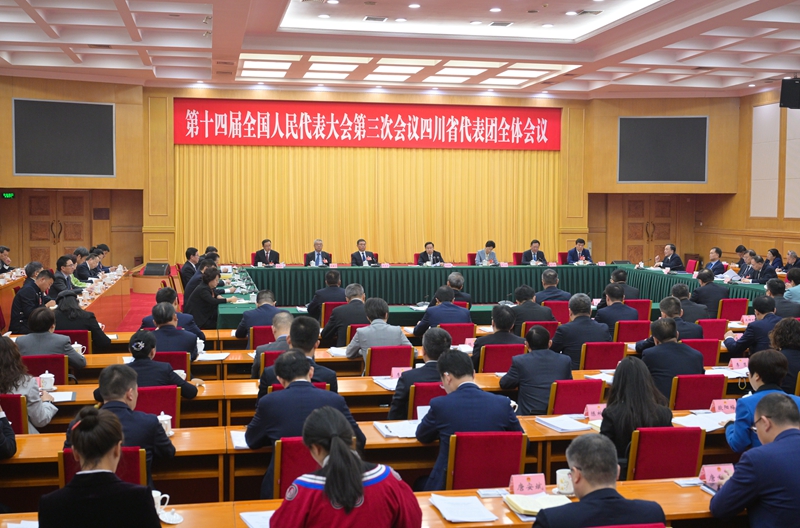 四川代表团举行全体会议  审议大会有关决议草案  王晓晖主持并讲话 施小琳参加