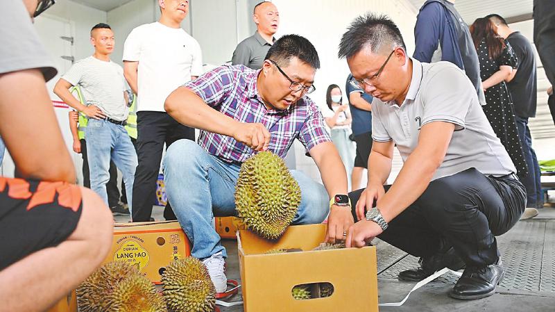 冷链专列+冷链专线车队 泰国榴莲成都“旅行”记